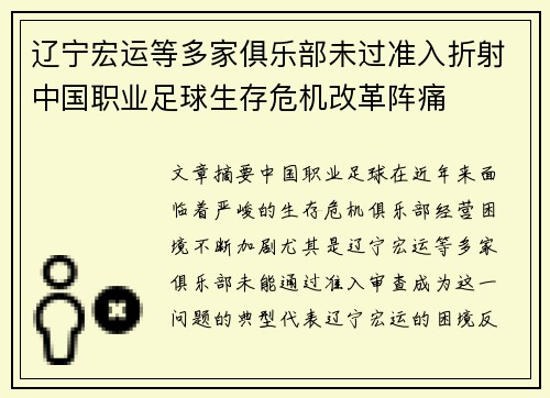 辽宁宏运等多家俱乐部未过准入折射中国职业足球生存危机改革阵痛