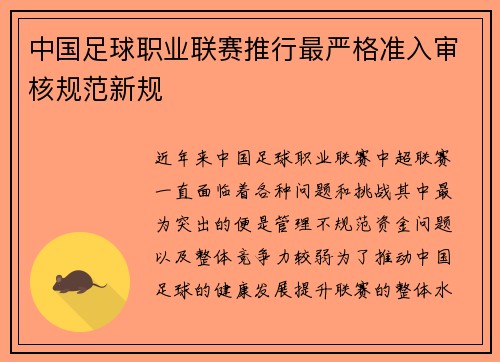 中国足球职业联赛推行最严格准入审核规范新规 中国足球职业联赛推行最严格准入审核规范新规